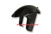 Kotfl�gel vorne Carbon Ducati Desmosedici