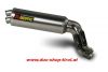 AKRAPOVIC SLIP-ON-Linie DUCATI Monster S4R S4RS mit EG/ABE
