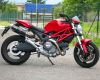 QUAT-D Schalld�mpferpaar Kohlefaser / oval mit Katalysator (Euro3) Ducati Monster 696/796/1100