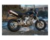 QUAT-D Schalld�mpferpaar Tronconcono / Troncolucido Titan Aprilia Dorsoduro 750