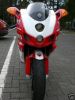 Startnummernfeld Front Ducati 749 / 999