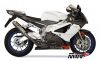 MIVV Auspuff Sport GP SLIP-ON Aprilia RSV 1000 ab Bj.2004